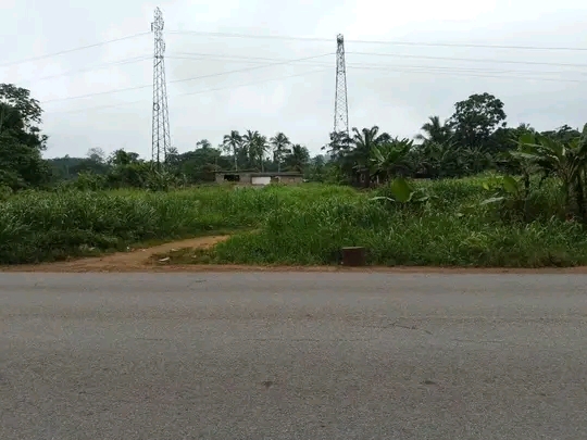 Photo de Terrain titré et loti en bordure de route à vendre