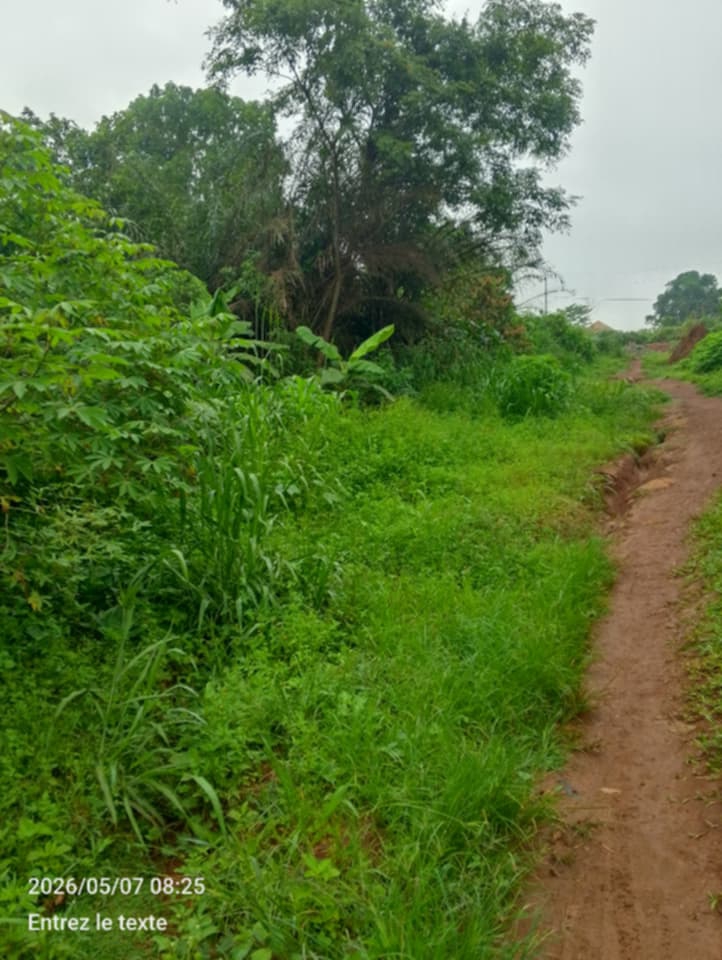 Photo de Jolie lot de terrain titre et lotis à vendre bastos parcours vitæ